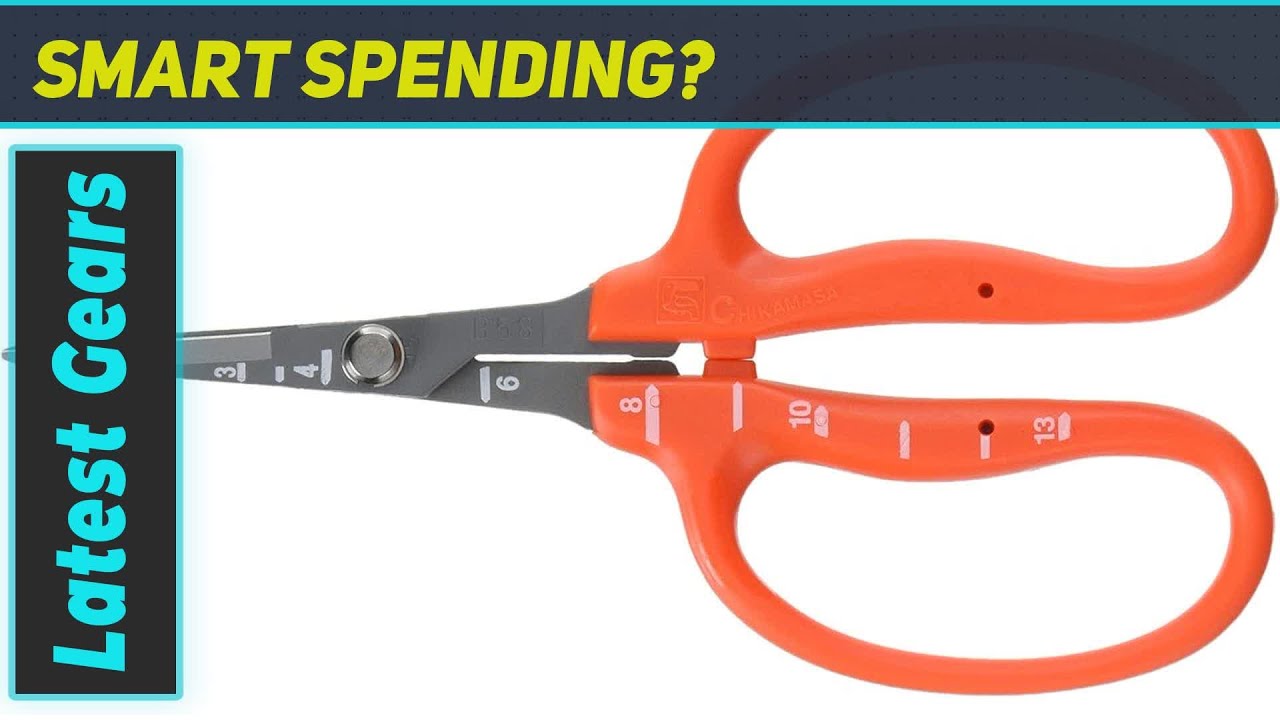 CHIKAMASA B-500SF Stainless Steel Fluorine Treated Grape Care Shears: The Best Tool for