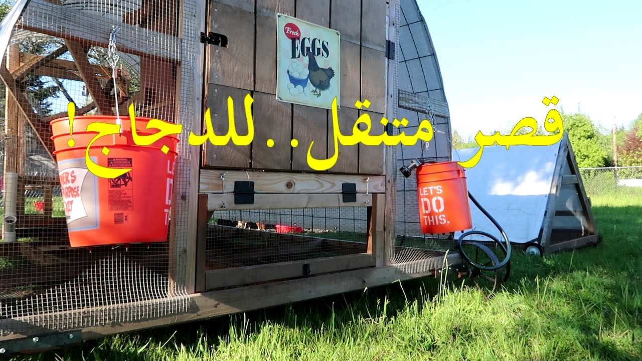 الحلقة التاسعة عشرة: قصر متنقل..للدجاج!