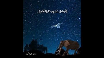 سوره الفيل للقارئ اسلام صبحي