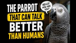 He repeated THAT word and everyone froze 😳 (African Grey Parrot / Jaco)
