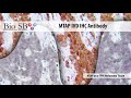 Bio SB 2021 New MTAP Antibody For IHC Bio SB 2021 New MTAP Antibody For IHC