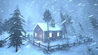 Frozen Horizon: Endless Snowstorm & Wind for Deep Sleep screenshot 4