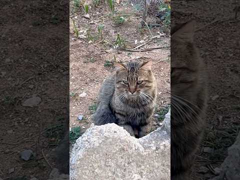       يايمه  اعتني اكسبلور تضامنا  