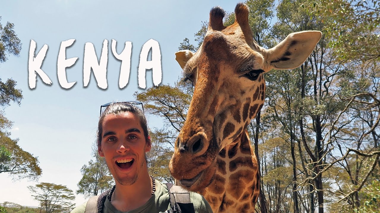 elephant orphanage volunteer 1 Week in Kenya | Africa Vlog 11