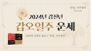 2024년 갑진년 갑오일주 운세