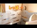 【三毛猫】まりもちゃんみっけ〜♪