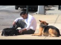 Pit Bull Terrier Aggression - NYC Dog Training - DCTK9 - Part 5 Pit Bull Terrier Aggression - NYC Dog Training - DCTK9 - Part 5