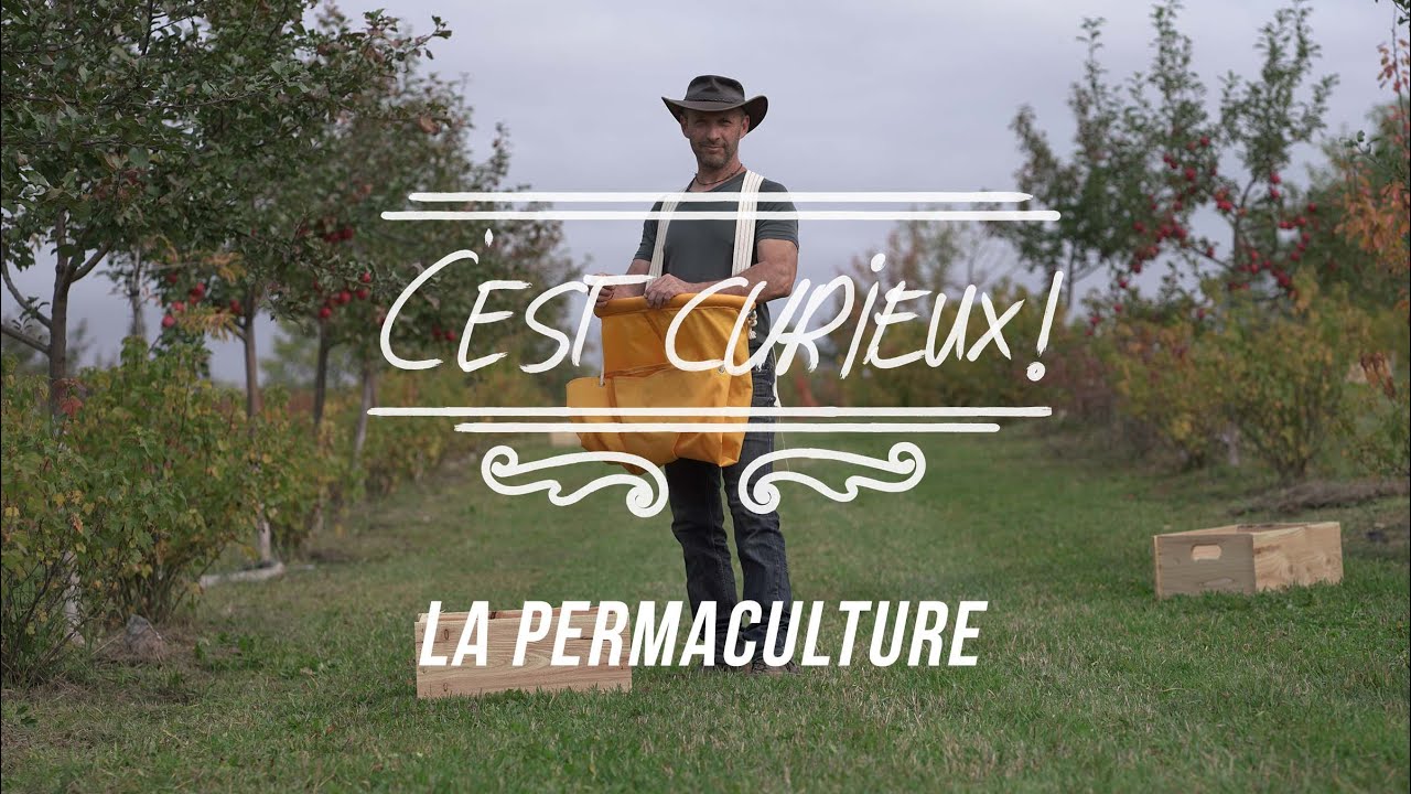 C'est curieux: La permaculture