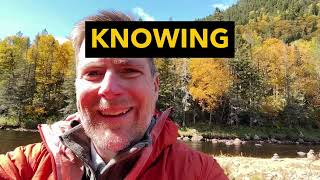 Incentive Plans Vs Bonus Plans Why Clarity Beats Trust In Employee Compensation Strategy