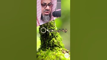 تلاوة خاشعة _ سعود الشريم من  الغاشية  #الشريم #سعود_الشريم #سورة #religion #saoud_shuraim  #sheikh