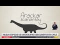 Descubren en Chile nueva especie de dinosaurio que habitó la región de Atacama