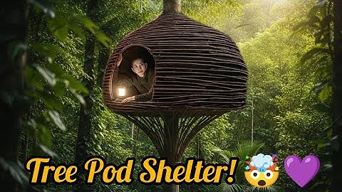 Built an Amazing Treehouse in the Forest 