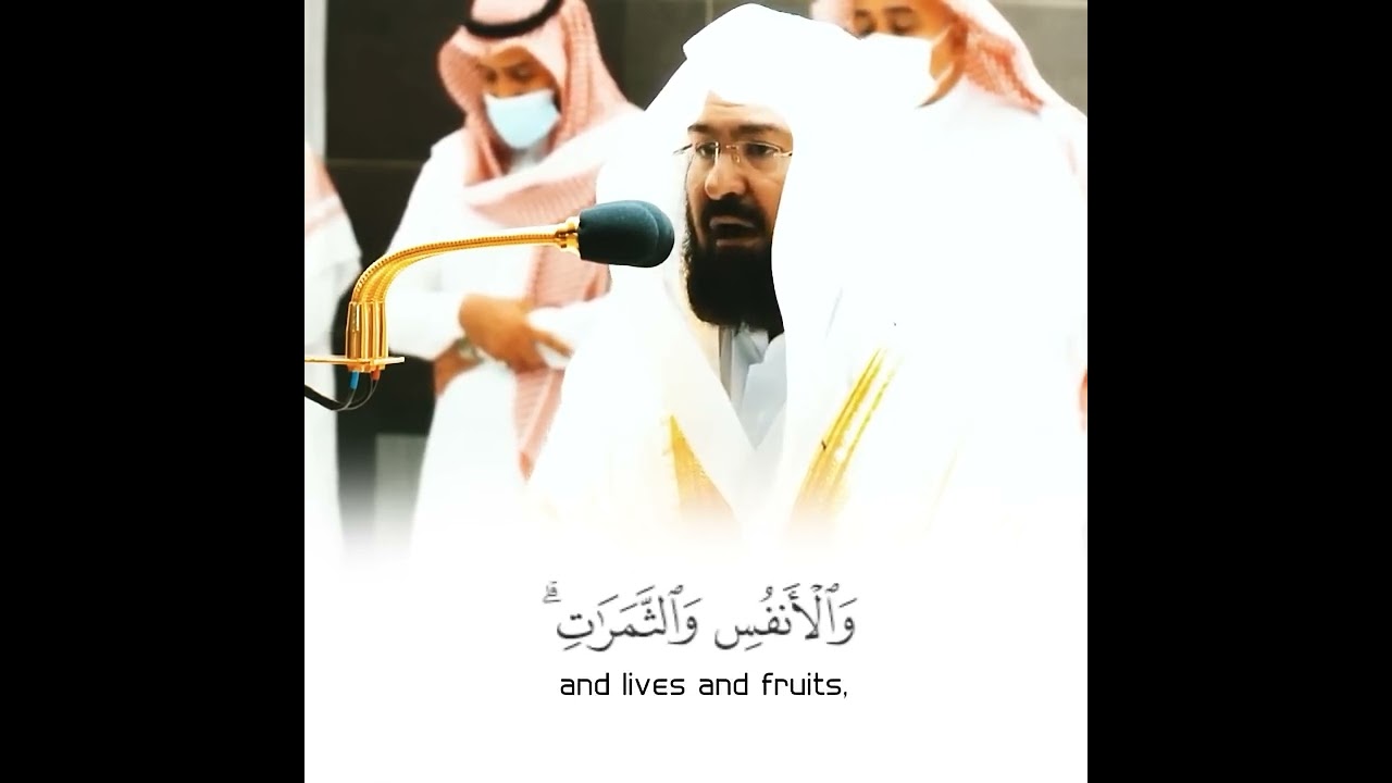 وَجَاءَتْ سَكْرَةُ الْمَوْتِ بِالْحَقِّ ۖ الشيخ عبد الرحمن السديس #اكسبلور #حالات_واتس