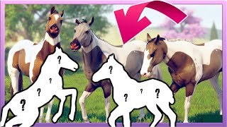 Das PASSIERT wenn die ZUCHT nicht GÖNNT 🥺💔 Rival Stars Horse Racing DESKTOP EDITION #41
