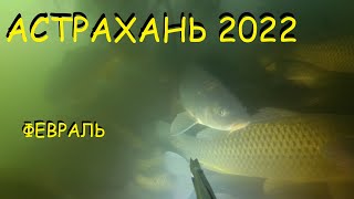 Астрахань зимой! Подводная охота в дельте волги зимой 2022 для начинающих