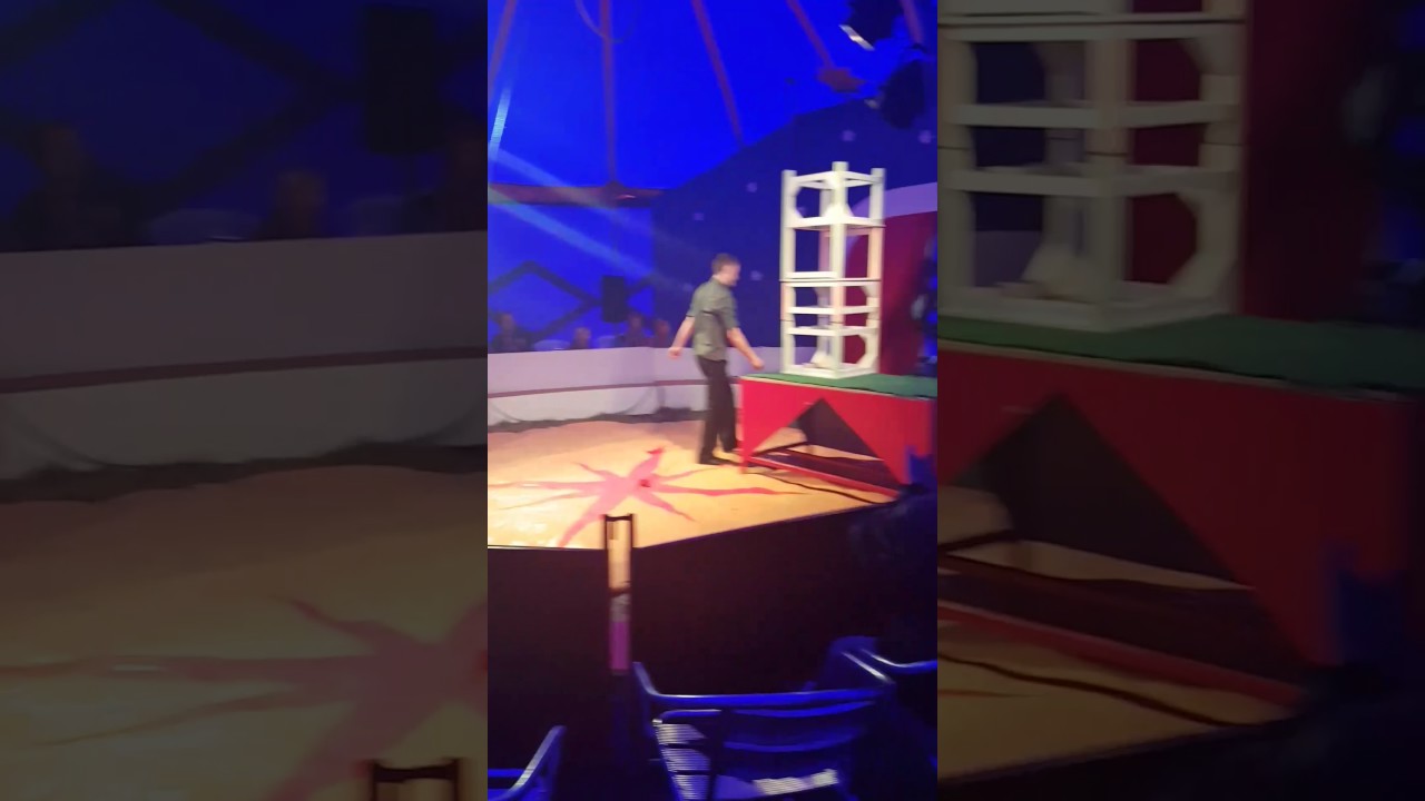 circus jeffrey Bügler