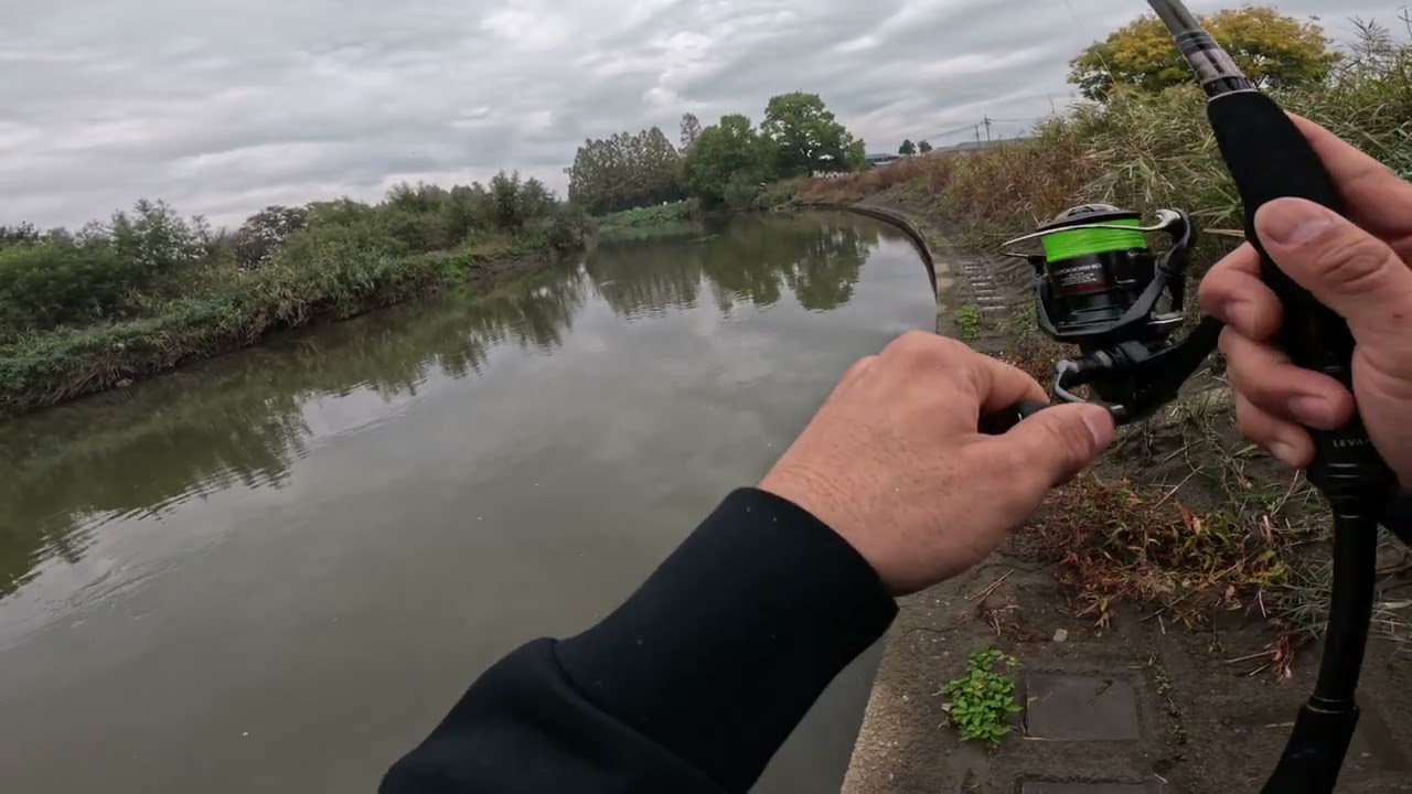 Bass Fishing Live Streaming Highlight in Japanese River Japan lake Shimano Vanford 2000 megabass OSP