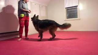 2017 1110 General Training