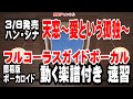 ハン・ジナ 天窓~愛という孤独~0 ガイドボーカル簡易版(動く楽譜付き)