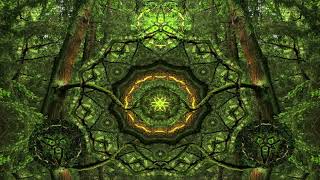 Total Eclipse - Espagnolizer (The Curandero Mix) ᴴᴰ Wealth