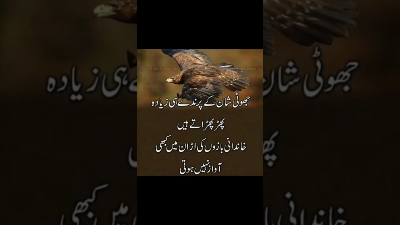 Voice Within – One Quote Can Change Your Life | Words That Win 