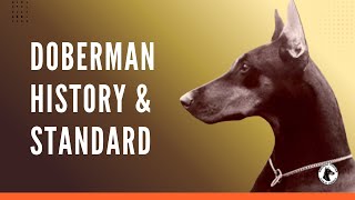 Breed History & Doberman Standard | 2025 DPCA National Seminar