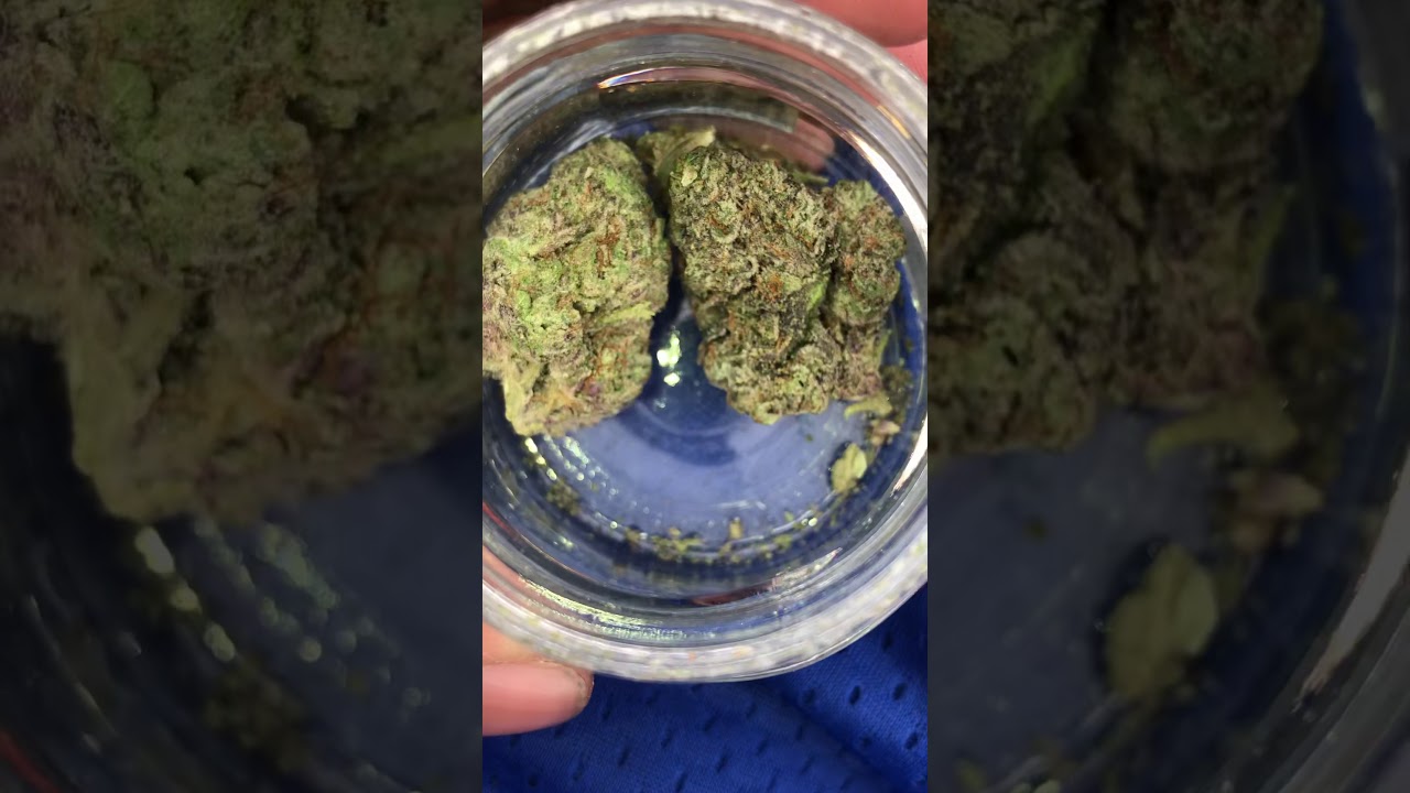 Woah Si Woah by Top shelf cultivation