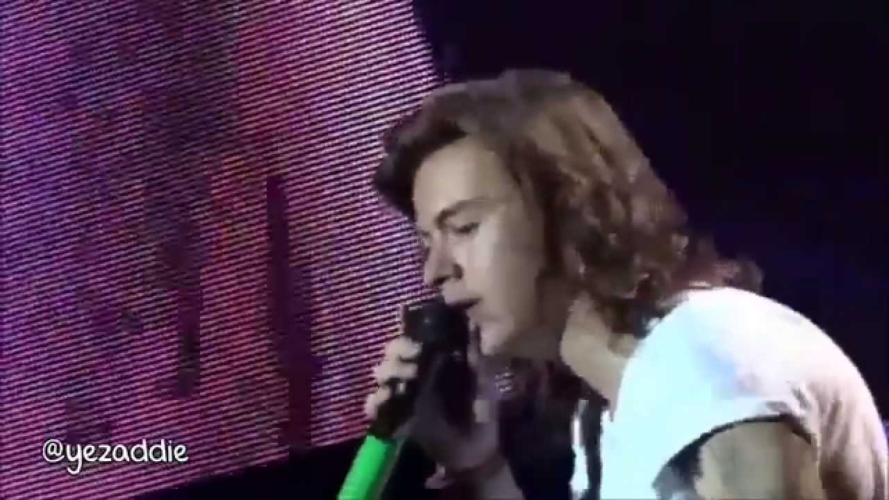 harry styles otra tour brussels