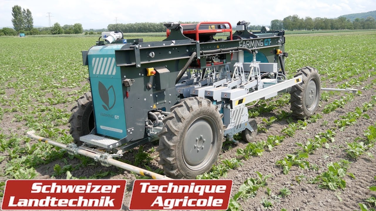 Hackroboter im Bio-Rüben-Einsatz