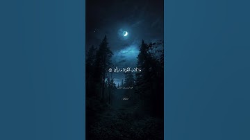 فأوحى الى عبدهِ ما أوحى | سورة النجم | محمد صديق المنشاوي