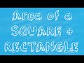 Understanding Area Calculation