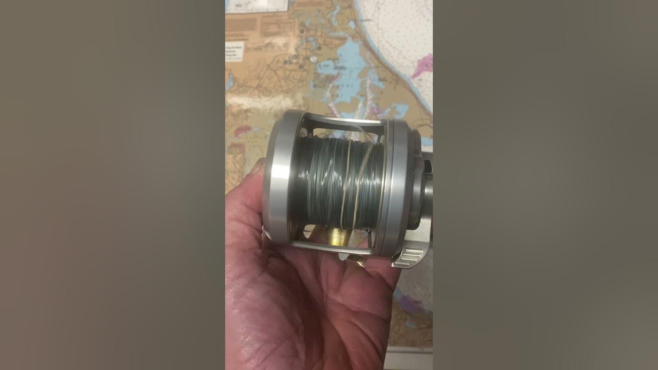 Accurate Fury Two Speed Reels - Fisherman's Outfitter