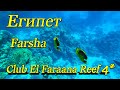 Farsha коралловый риф отеля Club El Faraana Reef 4 кафе Фарша и Coral beach