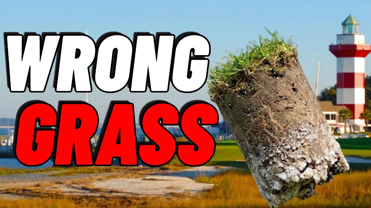Why Harbour Town Runs the Wrong Grass on Purpose