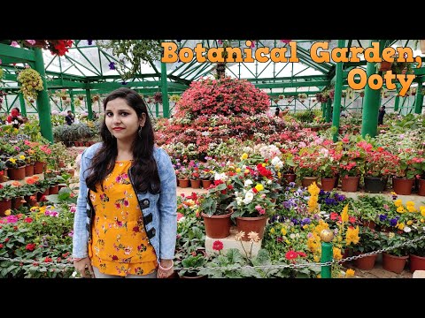 Botanical Garden, Ooty | Awesome Flowers Decoration | Ooty Vlog | Places to Visit in Ooty