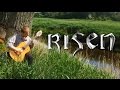 Risen - The Harbor City Solo Guitar