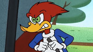 Woody tricks the guard to get food | Woody Woodpecker