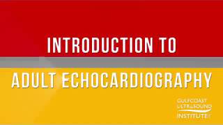 Intro to Adult Echocardiography at Gulfcoast Ultrasound