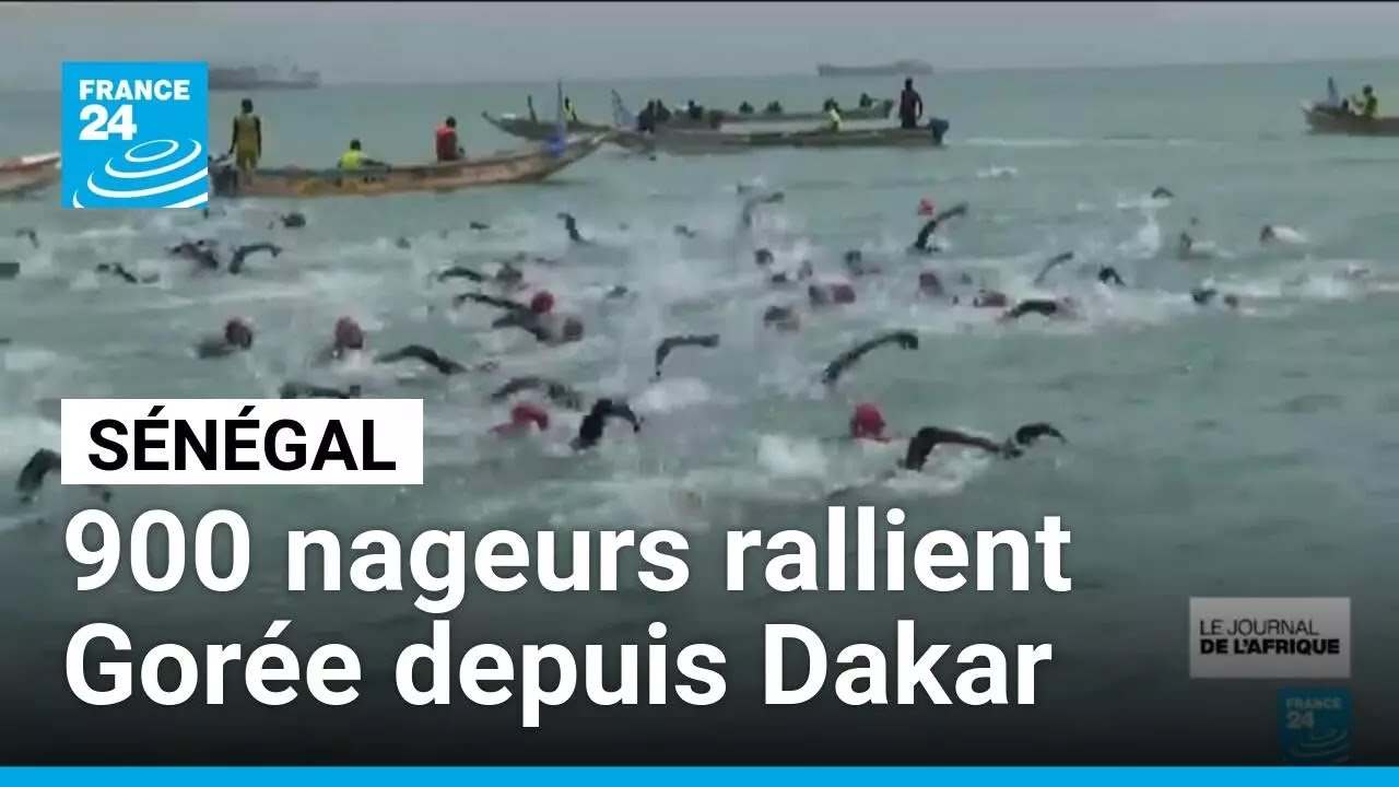 Sénégal : 900 nageurs rallient l'île de Gorée depuis Dakar • FRANCE 24