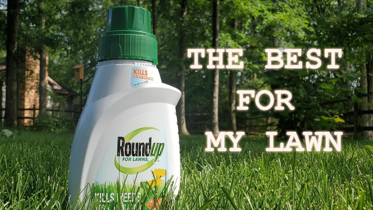 Roundup For Lawns Weed Killer // The complete product for summer weed