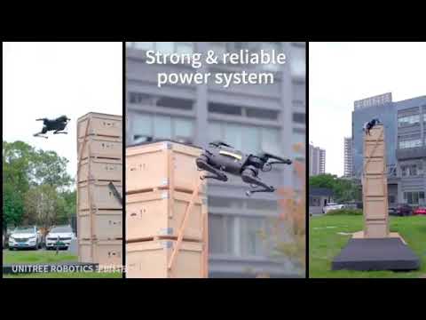 The First Bionic Companion Robot in the history of humans.