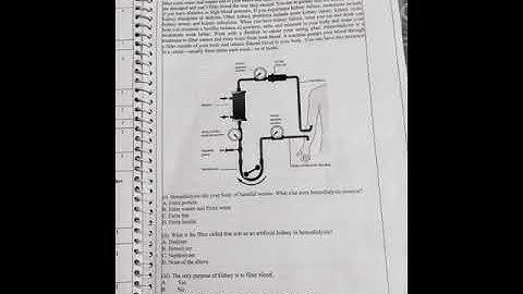 School Based Activity File || PSE || BEd || MDU, IGU, DU, JMI