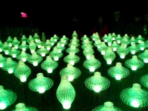 2010台北花卉博覽會-夢想館 機器花