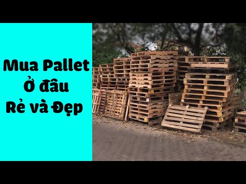 Video Hướng dẫn đi mua pallet giá rẻ và đẹp để trang trí... - youtube