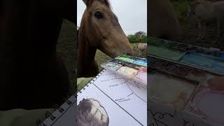 Horse wants to watercolor? #watercolor #naturejournaling