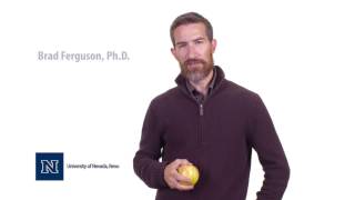 Brad Ferguson | Knowlege in a Nanosecond
