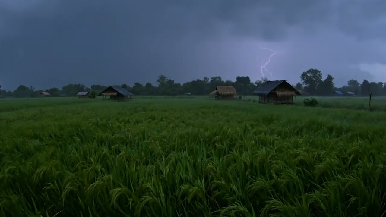 Safe & Warm in the Storm: Night Rain & Rolling Thunder | Beat Anxiety Tonight