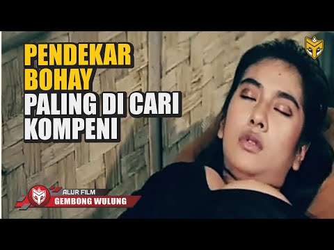 WANITA INI TERNYATA PENDEKAR PALING DI CARI PARA KOMPENI - ALUR CERITA FILM LAGA SERU 1989