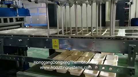 PLA Food container Thermoforming Cutting Stacking Machine/Production line