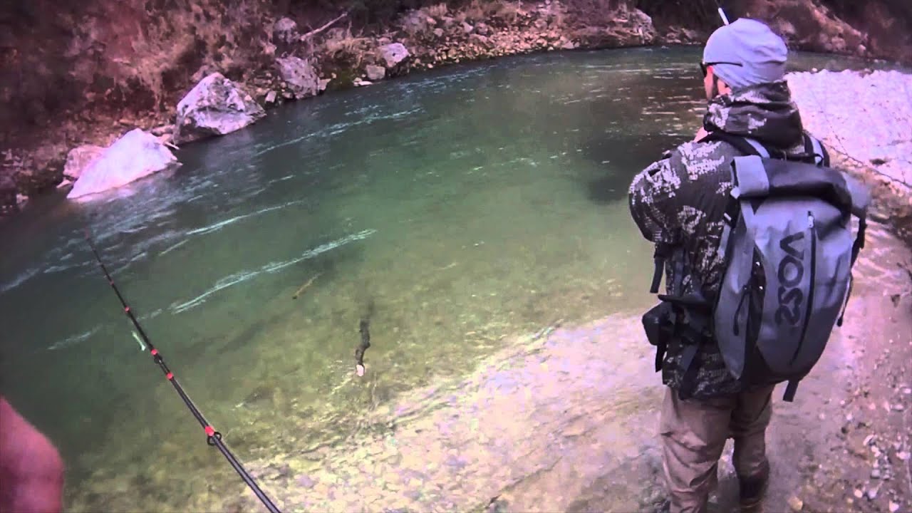 Spinning trote fario 2015